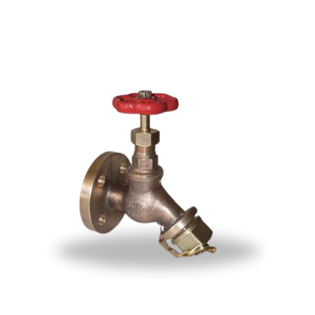 Drain Valves & Drain Valves (Flanged)